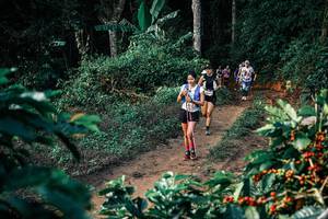 BIB: 
                            <button type="button" onclick="openModal(25827276)" class="btn btn-primary btn-sm float-right btn-popup" data-toggle="modal" data-target=".modal-high-quality">
                        <i class="fas fa-shopping-cart"></i> Add to Cart
                    </button>
                                            <button type="button" onclick="isThisMe(25827276, true)" class="btn btn-success btn-sm float-right btn-popup btn-isme hidden" data-toggle="tooltip" data-placement="bottom" title="นี่คือรูปของคุณใช่ไหม คลิกที่นี่เพื่อเอาเข้าอัลบั้ม">
                        <i class="fas fa-plus"></i> Add to album
                    </button>
                    <button type="button" onclick="isThisMe(25827276, false)" class="btn btn-warning btn-sm float-right btn-popup btn-isnotme hidden">
                        <i class="fas fa-ban"></i> Remove from album
                    </button>